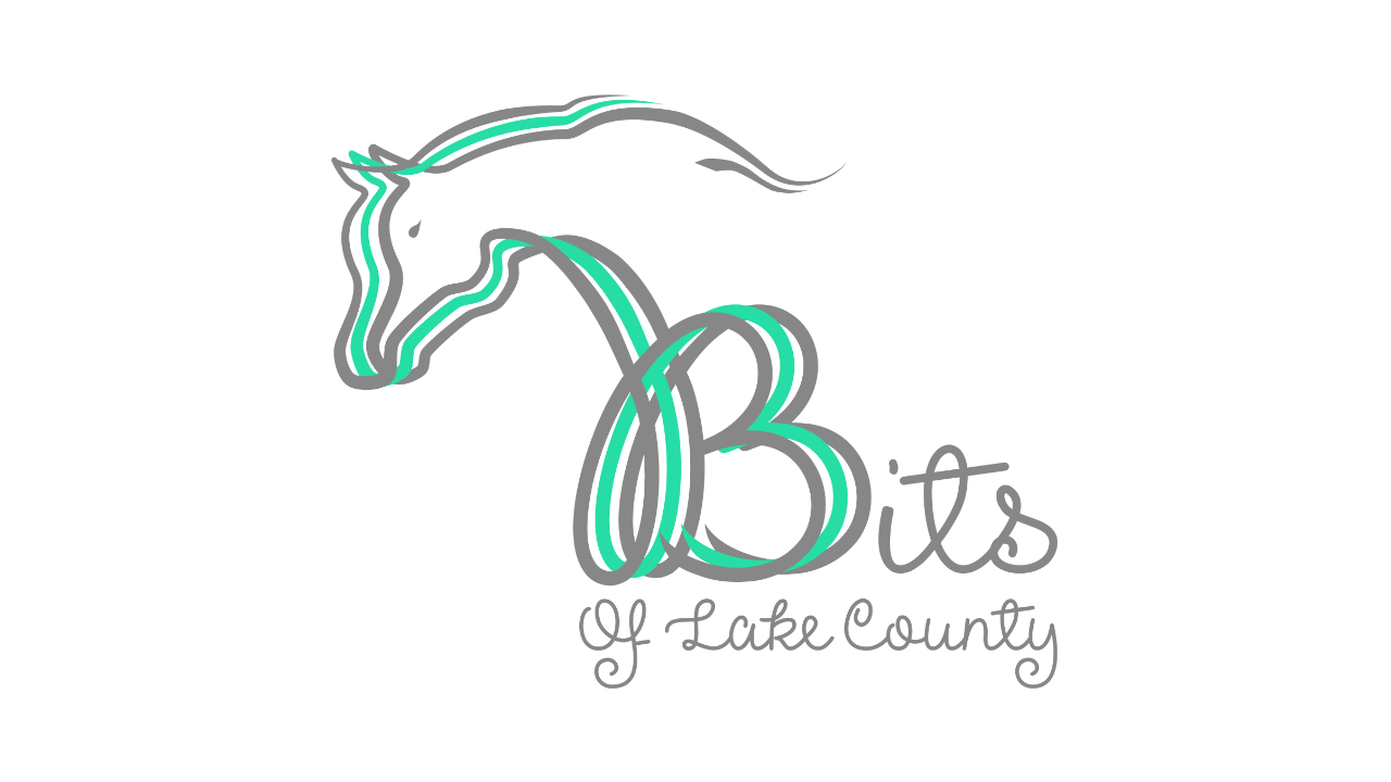 Bits of Lake county